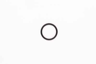 DICHTRING ÖLABLASSSCHRAUBE