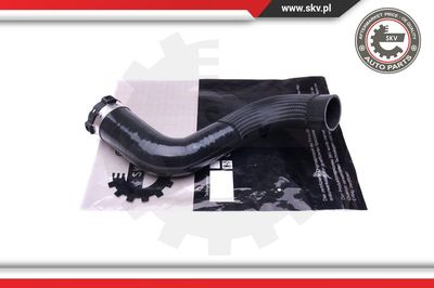 ESEN SKV 43SKV282 Воздушный патрубок  для RENAULT GRAND SCENIC III (JZ0/1_) 1.6 dCi (JZ00, JZ12)