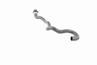 KüHLERSCHLAUCH VAICO V202892 2