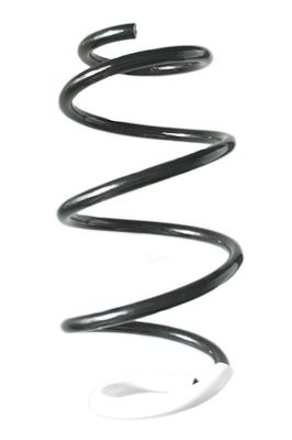 FAHRWERKSFEDER SPIDAN GKNW10233