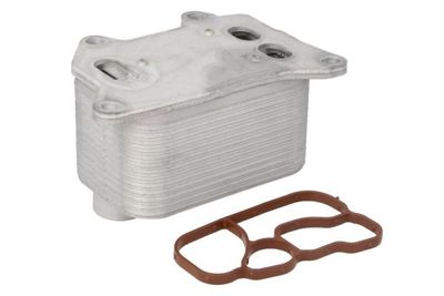 RADIATOR ULEI ULEI MOTOR THERMOTEC D4W015TT 1
