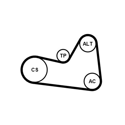 SET CUREA TRANSMISIE CU CANELURI CONTINENTAL CTAM 6PK1033K1 2