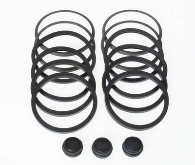 GARNITURA PISTON ETRIER