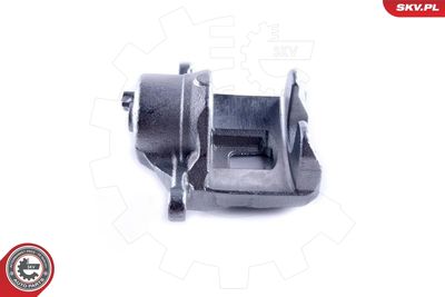 Brake Caliper 50SKV772