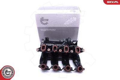 Intake Manifold Module 49SKV017