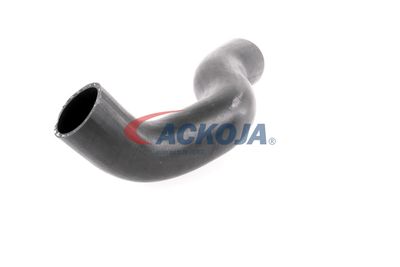 FURTUN EAR SUPRAALIMENTARE ACKOJA A380307 27