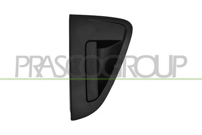 TüRGRIFF PRASCO DW3408102