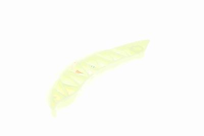 GHIDAJE LANT DISTRIBUTIE VAICO V203143 8