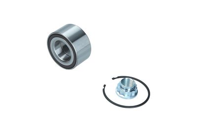 Rato guolio komplektas