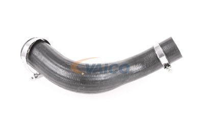 LADELUFTSCHLAUCH VAICO V251024 34