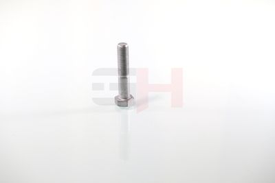 SURUB CAPAT DE AX GH GH392360 9