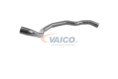 FURTUN RADIATOR VAICO V950416 56