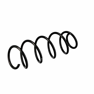 ARC SPIRAL EIBACH R10079 5