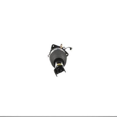 LUFTFEDERBEIN Arnott AS2969 10