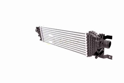 INTERCOOLER COMPRESOR VEMO V25600002 2