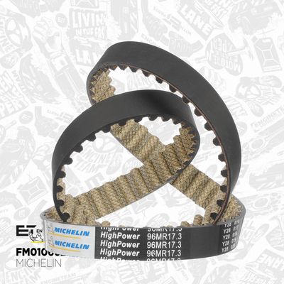 SET CUREA DE DISTRIBUTIE ET ENGINETEAM RM0038 2