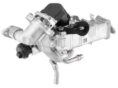 MODUL-EGR BorgWarner 792004D0 1