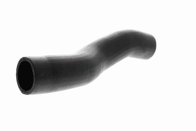 FURTUN EAR SUPRAALIMENTARE ACKOJA A529600 8