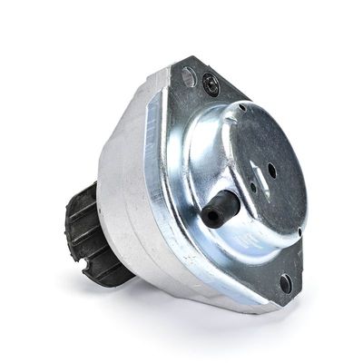LAGERUNG MOTOR DELPHI TEM258 4