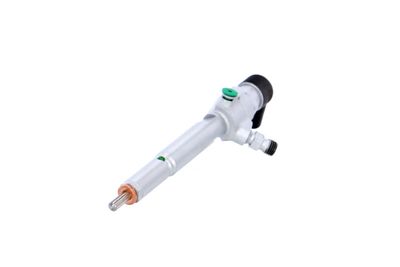 INJECTOR REMANTE 002003000006R 62