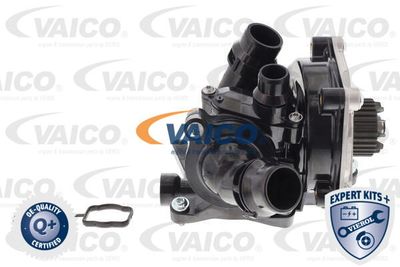 VAICO V10-4919 VAICO V10-4919