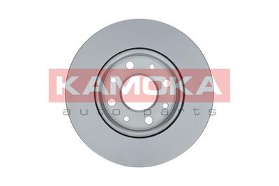 Brake Disc 103215