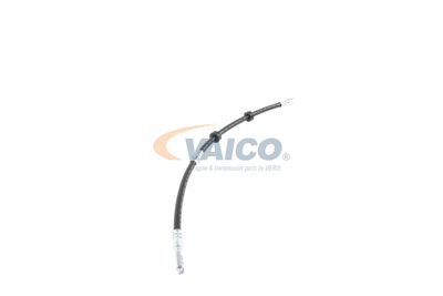 FURTUN FRANA VAICO V104226 42