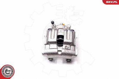 Brake Caliper 34SKV074