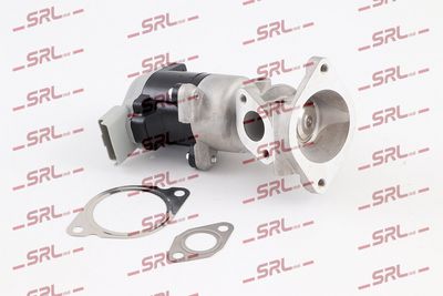 Egr valve