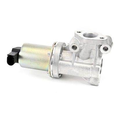 AGR-VENTIL DELPHI EG1061412B1 3