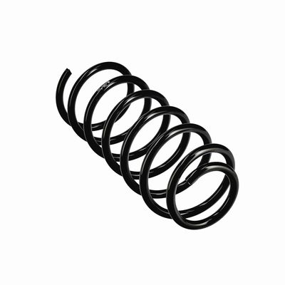 ARC SPIRAL EIBACH R10971 11