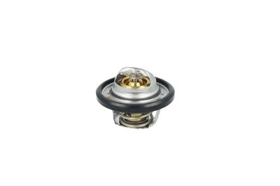 TERMOSTAT LICHID RACIRE NRF 725544 23