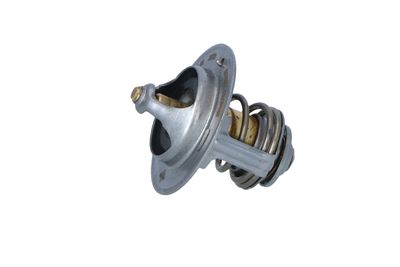 TERMOSTAT LICHID RACIRE NRF 725233 12