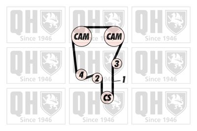 SET CUREA DE DISTRIBUTIE QUINTON HAZELL QBK617 1