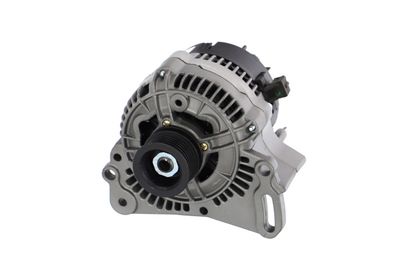 GENERATOR / ALTERNATOR REMANTE 011003000005R 62