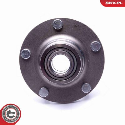 SET RULMENT ROATA ESEN SKV 29SKV461 2