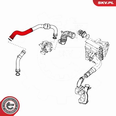 FURTUN EAR SUPRAALIMENTARE ESEN SKV 24SKV684 3