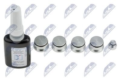 SET PENTRU REPARAT MODUL țEAVă DE ASPIRAțIE NTY BKSPL007