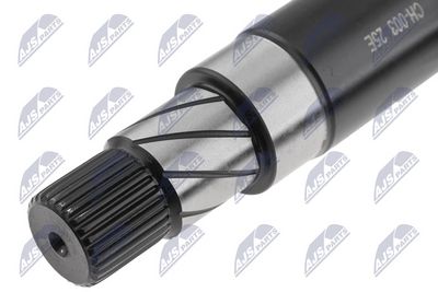 ARBORE DIFERENTIAL NTY NWPCH003 3