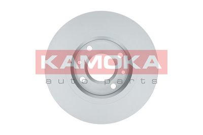 Brake Disc 1032280