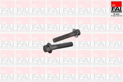 Болт крепления, рычаг FAI AutoParts SS9254BK для FORD C-MAX