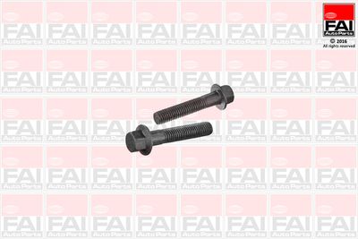 FAI AutoParts Bevestigingsbout, wieldraagarm (SS9254BK)