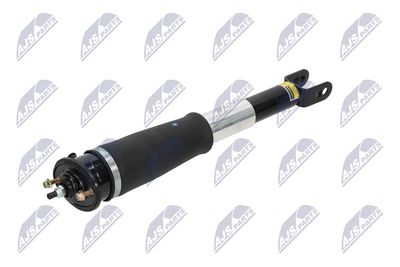 AMORTIZOR NTY ACH006 2