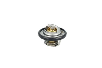 TERMOSTAT LICHID RACIRE NRF 725544 4