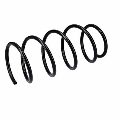 ARC SPIRAL EIBACH R10991 5