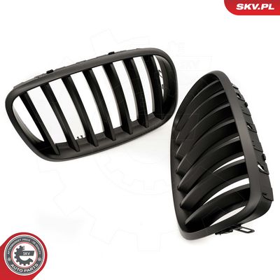 GRILA RADIATOR ESEN SKV 66SKV284 2