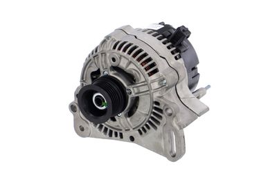 GENERATOR / ALTERNATOR REMANTE 011003000004R 65