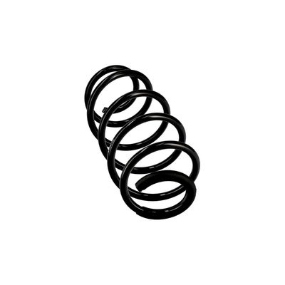 ARC SPIRAL EIBACH R10067 24