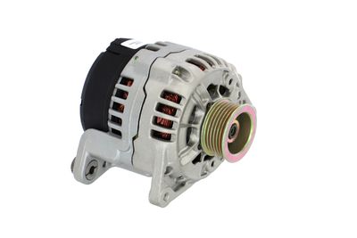 GENERATOR / ALTERNATOR REMANTE 011003000033R 51