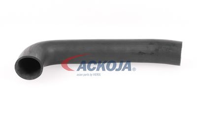 FURTUN EAR SUPRAALIMENTARE ACKOJA A379602 11